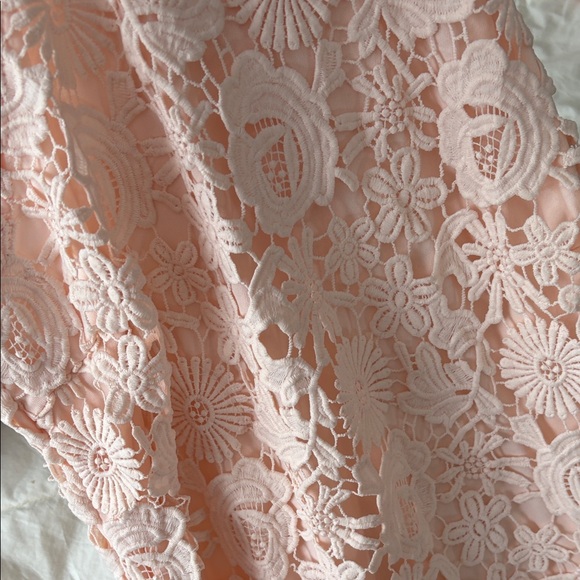 Lulu's Floral Lace Mini Dress in baby pink - Picture 4 of 4